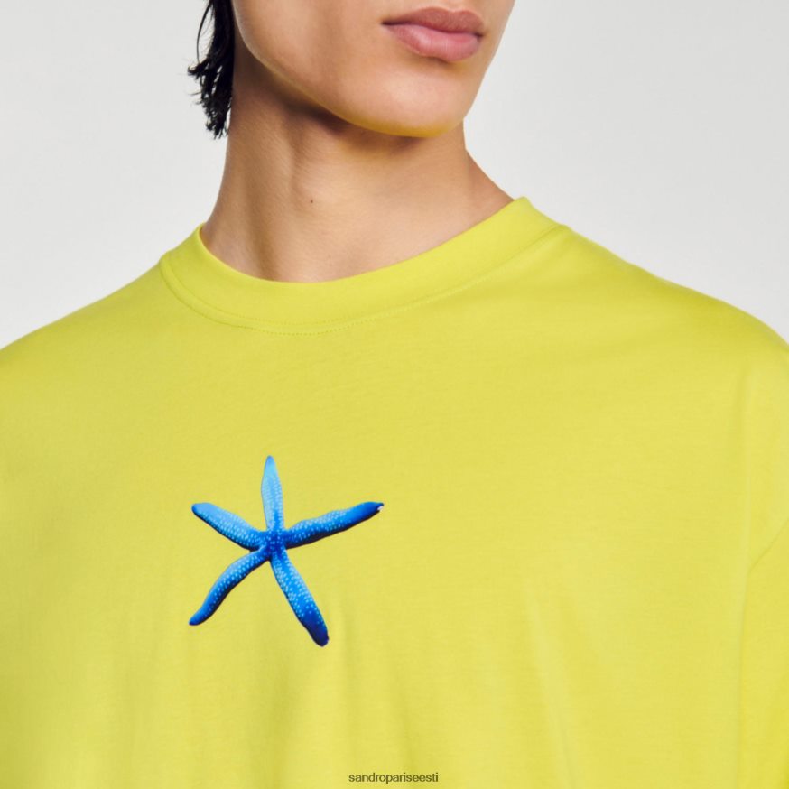 Sandro Paris kehakate mehed meritähe t-särk BN4RF686 aniisiroheline